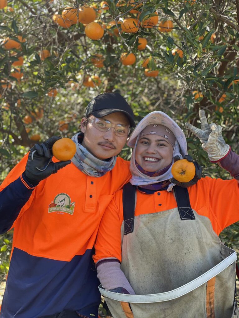 Tips on Promoting Work-Life Balance in Agribusiness